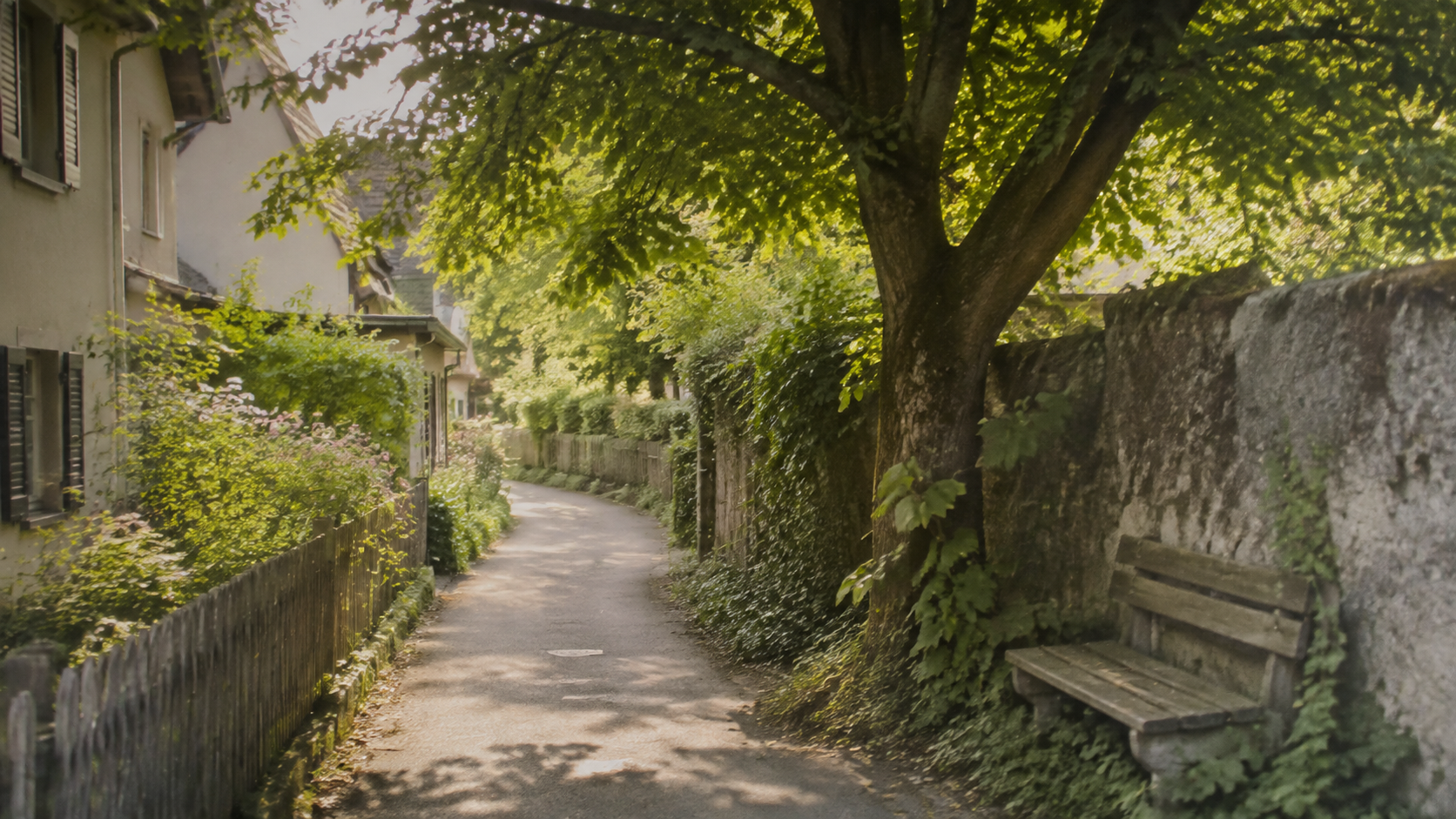 Hintergrund
